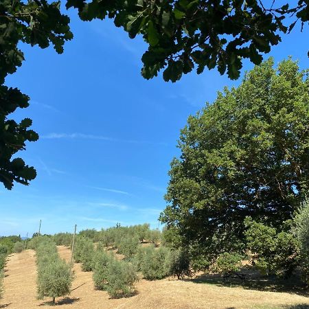 La Casina Della Quercia, Your Tuscan Oak Tree House Osteria Delle Noci Εξωτερικό φωτογραφία