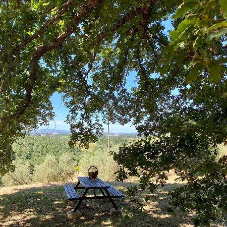 La Casina Della Quercia, Your Tuscan Oak Tree House Osteria Delle Noci Εξωτερικό φωτογραφία