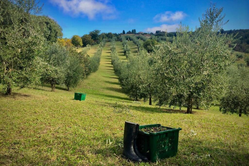 La Casina Della Quercia, Your Tuscan Oak Tree House Osteria Delle Noci Εξωτερικό φωτογραφία