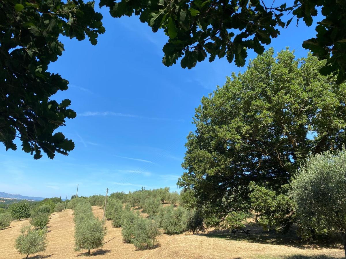 La Casina Della Quercia, Your Tuscan Oak Tree House Osteria Delle Noci Εξωτερικό φωτογραφία
