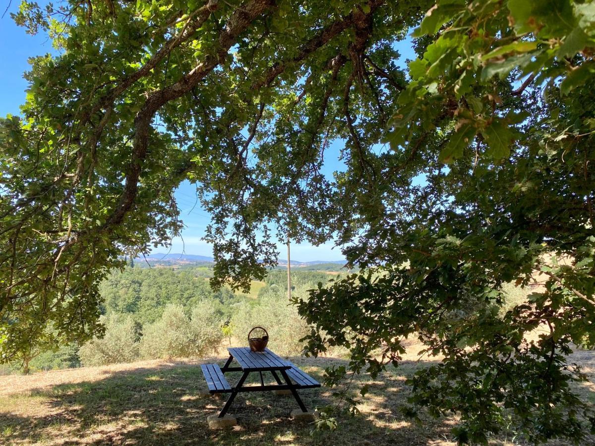 La Casina Della Quercia, Your Tuscan Oak Tree House Osteria Delle Noci Εξωτερικό φωτογραφία